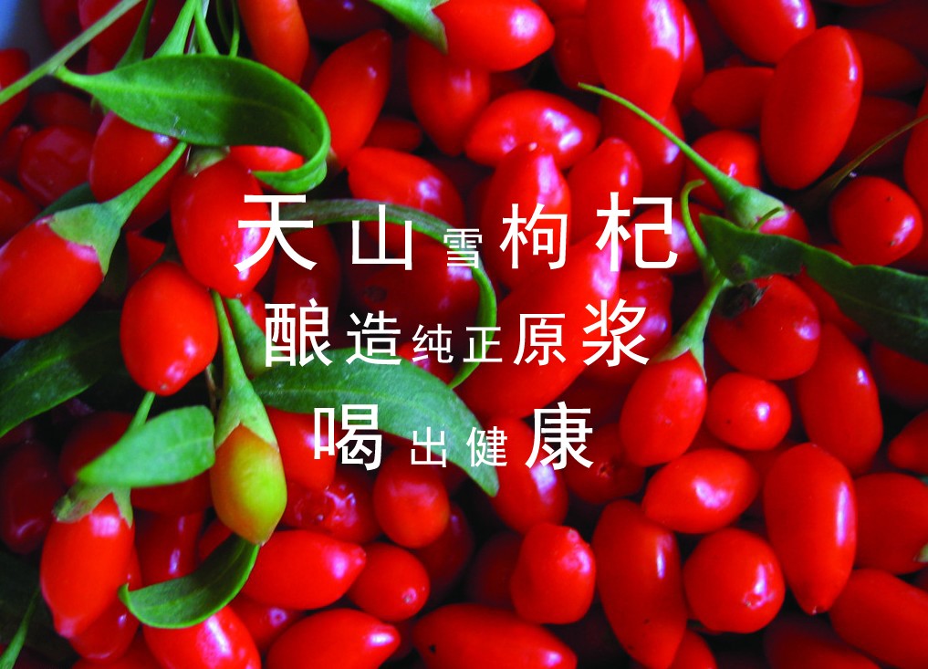 &#80;&#84;&#30495;&#20154;&#65288;&#20013;&#22269;&#65289;&#23448;&#26041;&#32593;&#31449;