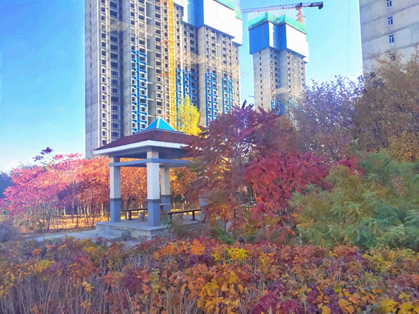 &#80;&#84;&#30495;&#20154;&#65288;&#20013;&#22269;&#65289;&#23448;&#26041;&#32593;&#31449;