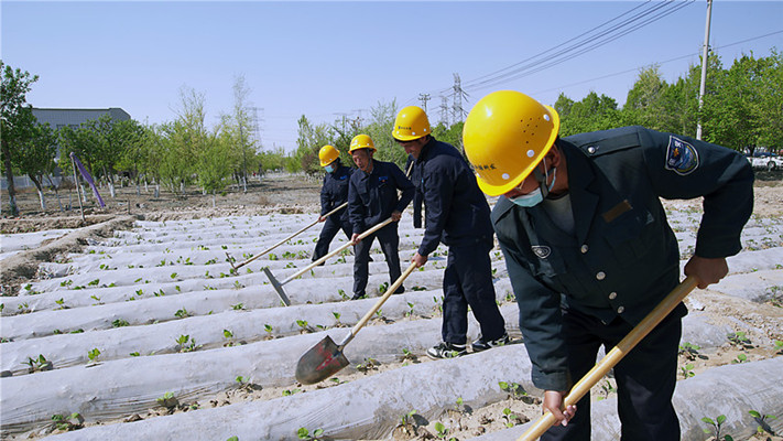 &#80;&#84;&#30495;&#20154;&#65288;&#20013;&#22269;&#65289;&#23448;&#26041;&#32593;&#31449;